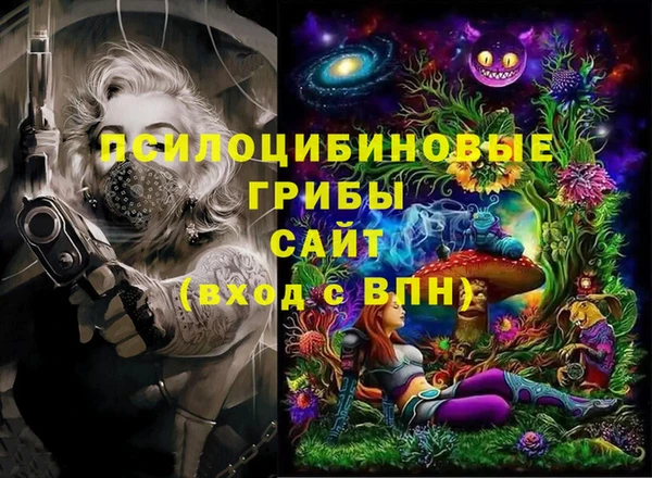 гидропоника Краснослободск