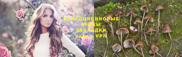 ешки Красноперекопск