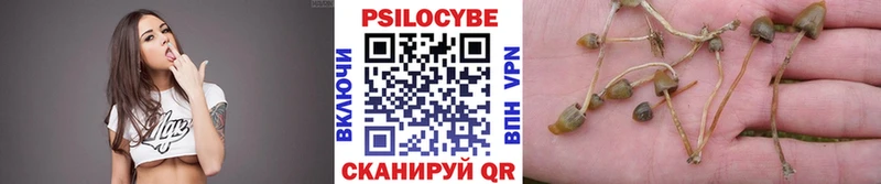 Галлюциногенные грибы GOLDEN TEACHER  купить наркотик  Липки 